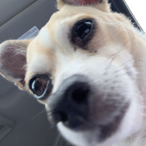 Meet your Posher, Aria